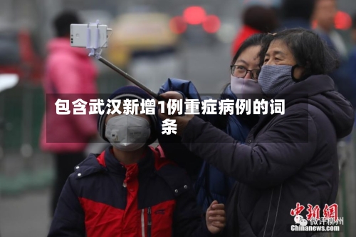 包含武汉新增1例重症病例的词条