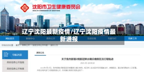 辽宁沈阳最新疫情/辽宁沈阳疫情最新通报-第2张图片