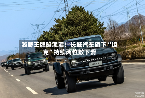 越野王牌陷泥沼！长城汽车旗下“坦克”持续两位数下滑-第3张图片