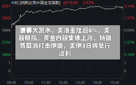 世界油价大跳水，美油重挫超6%	，美股期指、黄金白银集体上涨，特朗普取消打击伊朗，美伊3日将举行谈判-第3张图片
