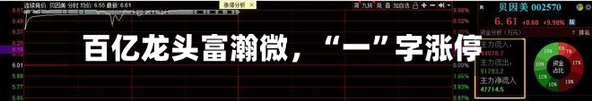 百亿龙头富瀚微，“一”字涨停-第3张图片