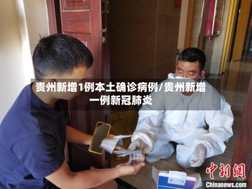 贵州新增1例本土确诊病例/贵州新增一例新冠肺炎-第2张图片