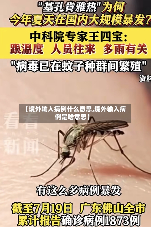 【境外输入病例什么意思,境外输入病例是啥意思】
