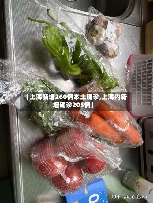 【上海新增260例本土确诊,上海内新增确诊205例】-第3张图片