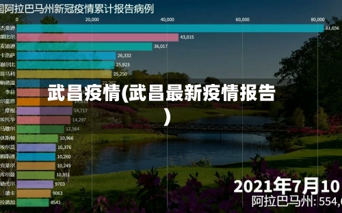 武昌疫情(武昌最新疫情报告)