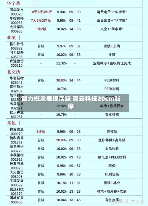 算力概念表现活跃 青云科技20cm涨停