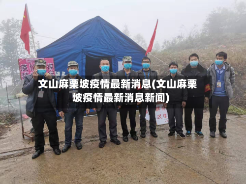 文山麻栗坡疫情最新消息(文山麻栗坡疫情最新消息新闻)-第2张图片