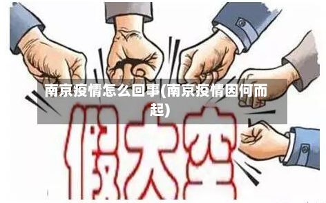 南京疫情怎么回事(南京疫情因何而起)-第3张图片