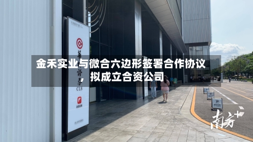 金禾实业与微合六边形签署合作协议，拟成立合资公司