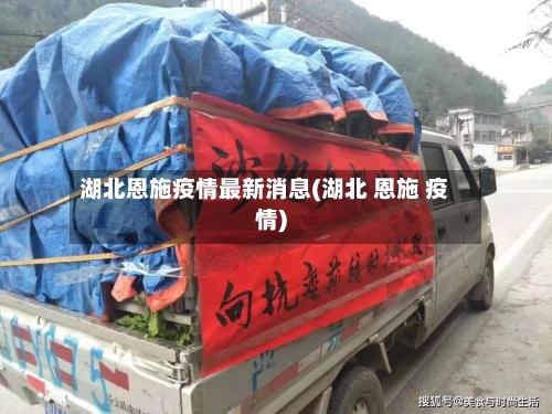 湖北恩施疫情最新消息(湖北 恩施 疫情)-第3张图片