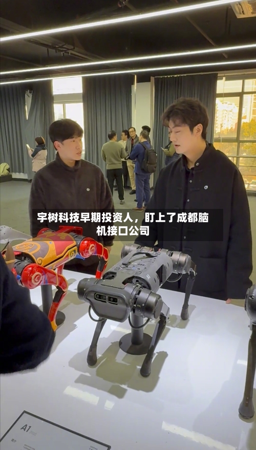 宇树科技早期投资人，盯上了成都脑机接口公司-第3张图片