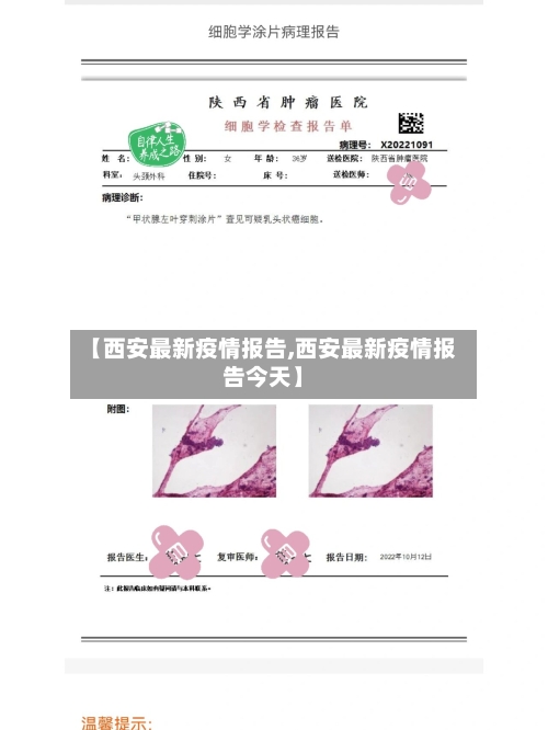 【西安最新疫情报告,西安最新疫情报告今天】