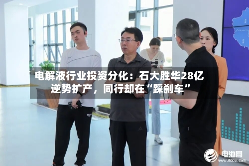 电解液行业投资分化：石大胜华28亿逆势扩产，同行却在“踩刹车	”-第2张图片