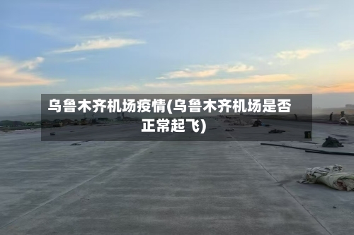 乌鲁木齐机场疫情(乌鲁木齐机场是否正常起飞)-第3张图片