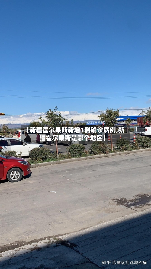 【新疆霍尔果斯新增1例确诊病例,新疆霍尔果斯是哪个地区】-第2张图片