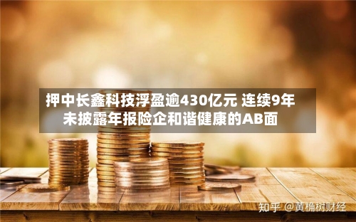 押中长鑫科技浮盈逾430亿元 连续9年未披露年报险企和谐健康的AB面