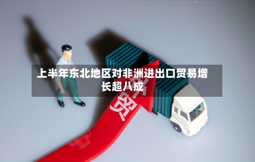 上半年东北地区对非洲进出口贸易增长超八成-第3张图片