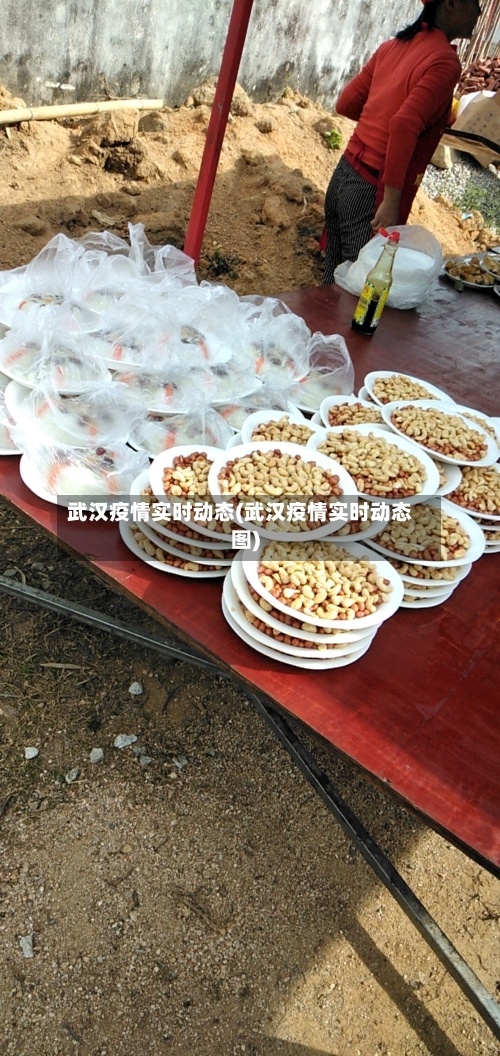 武汉疫情实时动态(武汉疫情实时动态图)