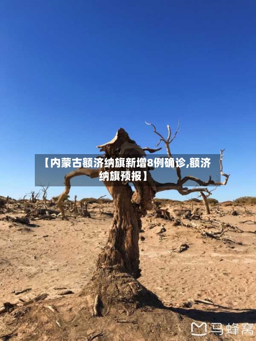 【内蒙古额济纳旗新增8例确诊,额济纳旗预报】-第3张图片