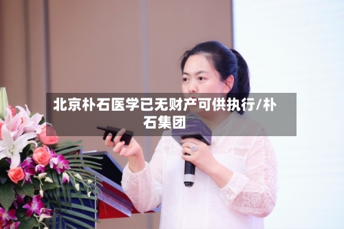 北京朴石医学已无财产可供执行/朴石集团-第3张图片