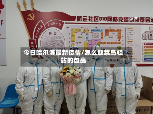 今日哈尔滨最新疫情/怎么取菜鸟驿站的包裹-第2张图片