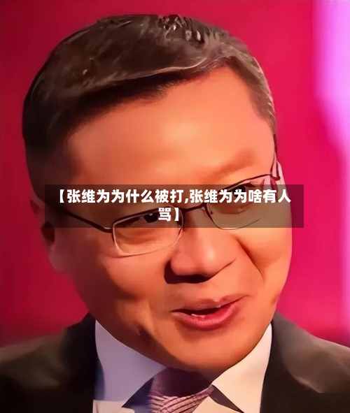 【张维为为什么被打,张维为为啥有人骂】-第2张图片