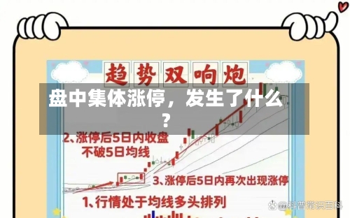 盘中集体涨停，发生了什么？