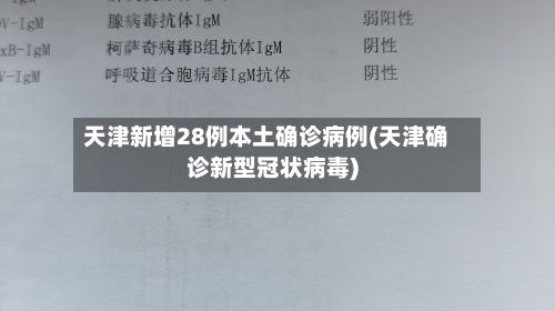 天津新增28例本土确诊病例(天津确诊新型冠状病毒)-第2张图片