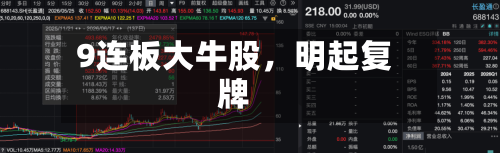 9连板大牛股，明起复牌-第3张图片
