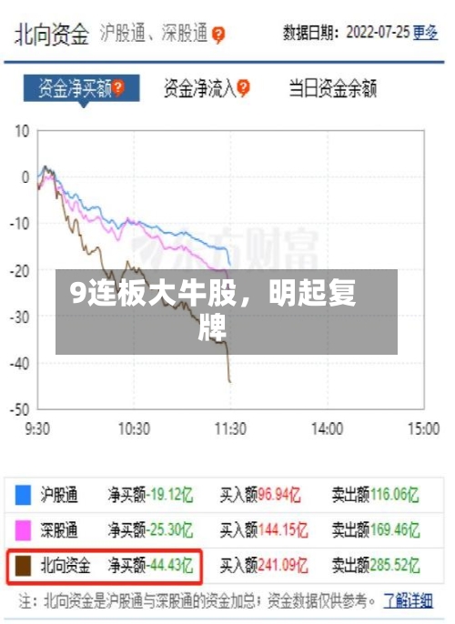 9连板大牛股，明起复牌-第2张图片