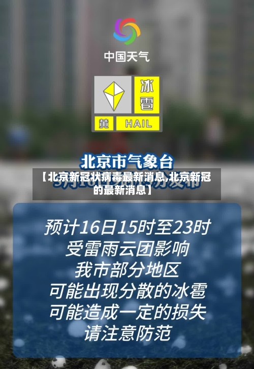 【北京新冠状病毒最新消息,北京新冠的最新消息】-第2张图片
