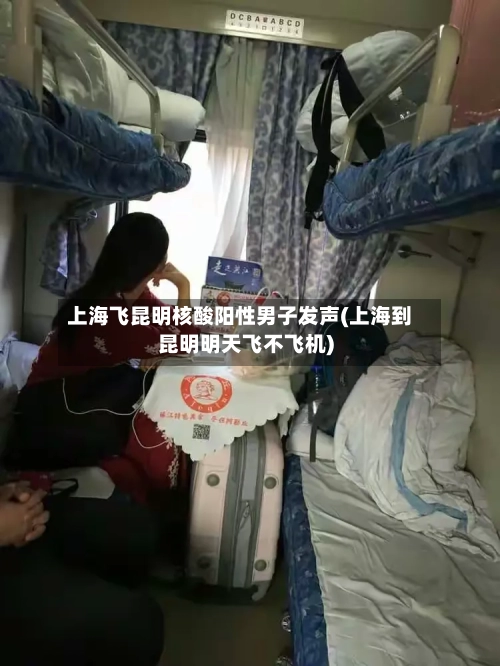 上海飞昆明核酸阳性男子发声(上海到昆明明天飞不飞机)-第3张图片