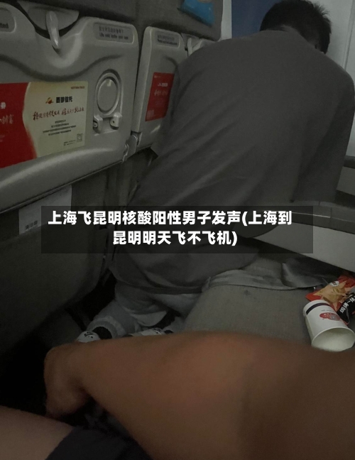 上海飞昆明核酸阳性男子发声(上海到昆明明天飞不飞机)