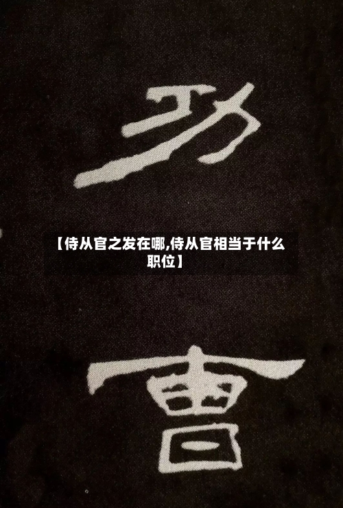 【侍从官之发在哪,侍从官相当于什么职位】-第2张图片