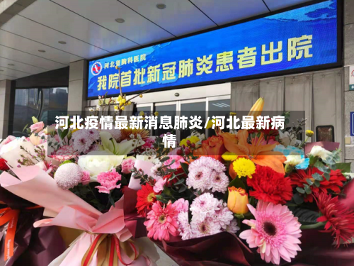 河北疫情最新消息肺炎/河北最新病情