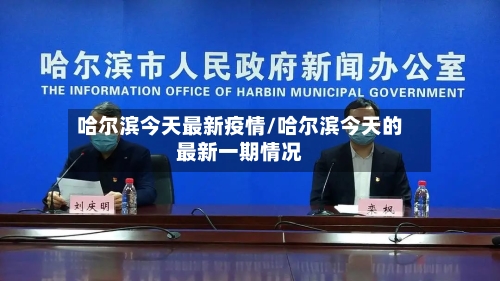 哈尔滨今天最新疫情/哈尔滨今天的最新一期情况-第2张图片