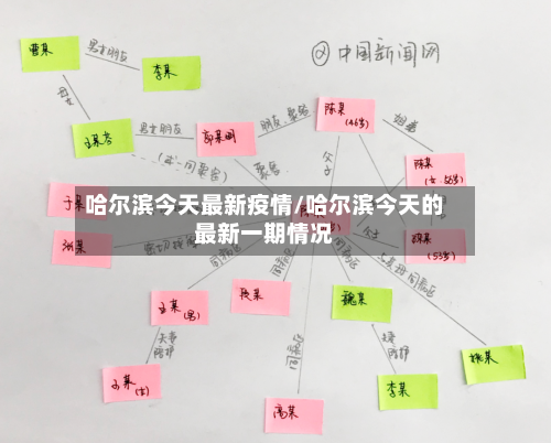 哈尔滨今天最新疫情/哈尔滨今天的最新一期情况-第3张图片
