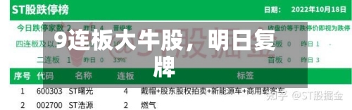 9连板大牛股，明日复牌-第2张图片