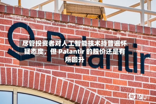 尽管投资者对人工智能技术持普遍怀疑态度，但 Palantir 的股价还是有所回升