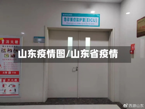 山东疫情图/山东省疫情-第2张图片