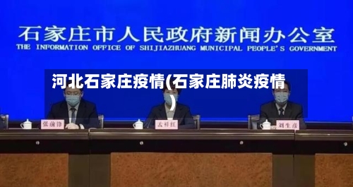 河北石家庄疫情(石家庄肺炎疫情)-第2张图片