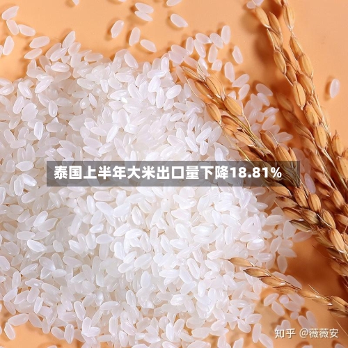 泰国上半年大米出口量下降18.81%