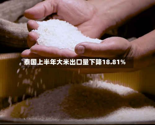泰国上半年大米出口量下降18.81%-第2张图片