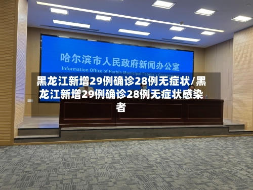 黑龙江新增29例确诊28例无症状/黑龙江新增29例确诊28例无症状感染者-第2张图片