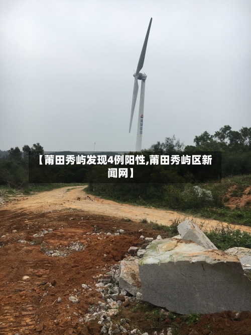 【莆田秀屿发现4例阳性,莆田秀屿区新闻网】-第2张图片