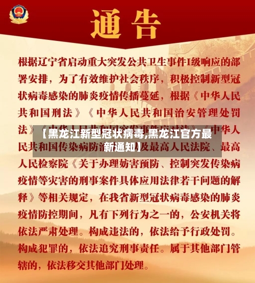 【黑龙江新型冠状病毒,黑龙江官方最新通知】-第2张图片