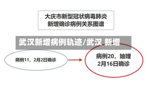 武汉新增病例轨迹/武汉 新增