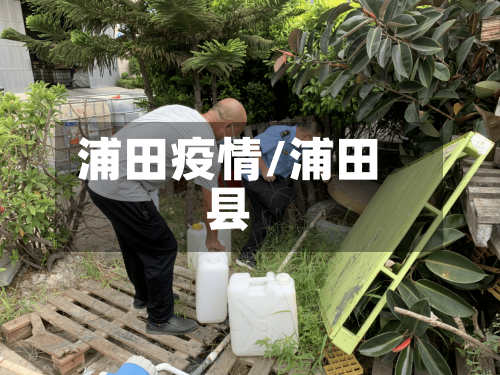 浦田疫情/浦田县-第2张图片