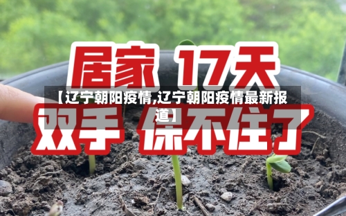 【辽宁朝阳疫情,辽宁朝阳疫情最新报道】-第3张图片
