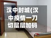 汉中封城(汉中疫情一刀切层层加码被通报)